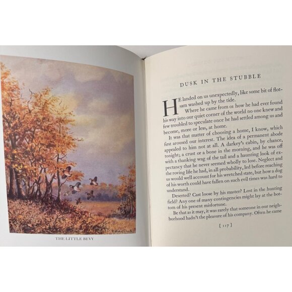 Gunners Dawn Collectors Edition By Roland Clark Hardcover Hunting Waterfowl Art - Picture 13 of 16